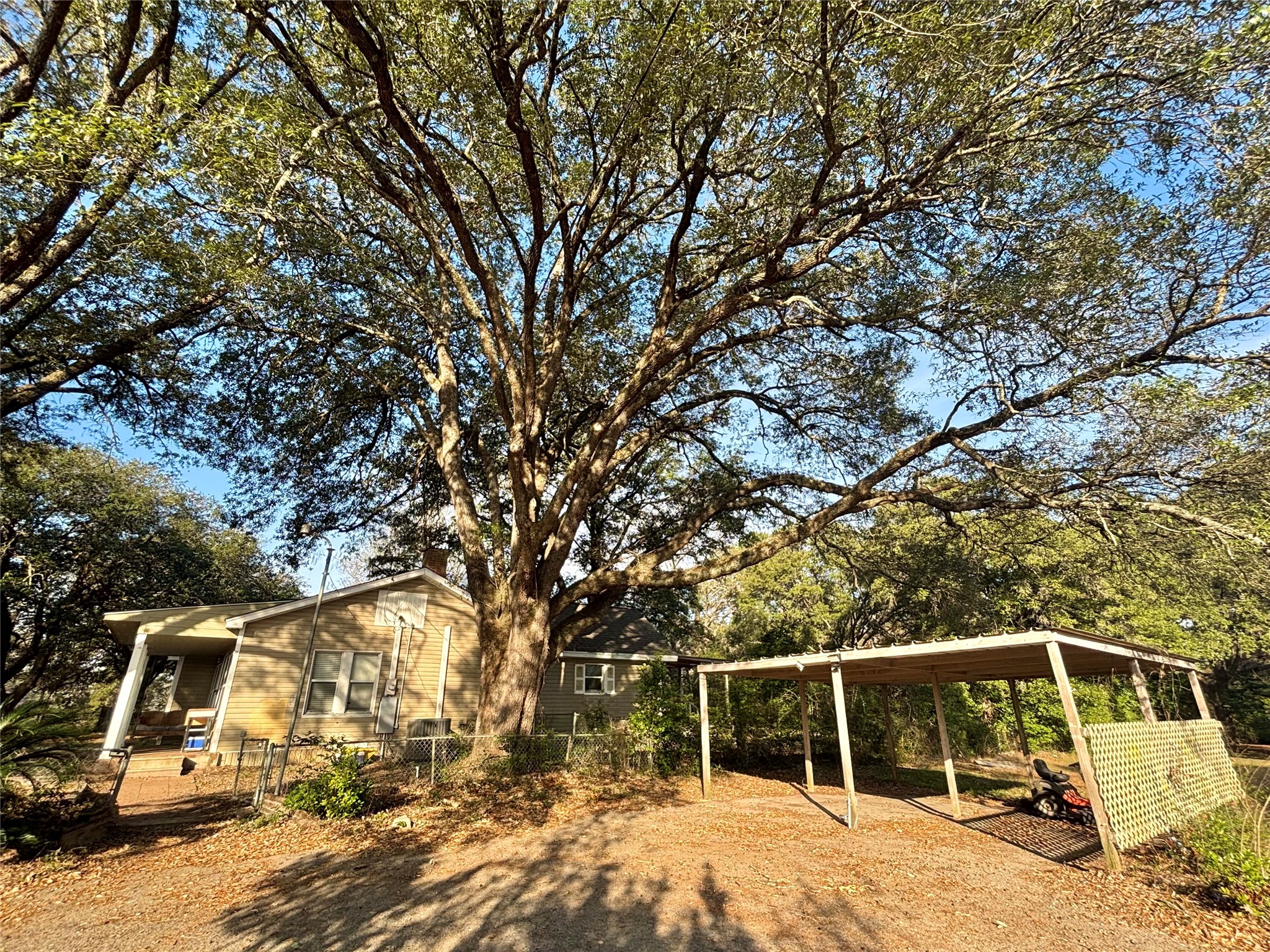 408 West Elder Street Colmesneil, TX 75938 - Photo 5 of 28 a view of trees and covered with tall trees