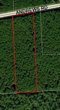 172811 Andrews Road Hilliard, FL 32046 - Photo 1 of 6 a view of a yard
