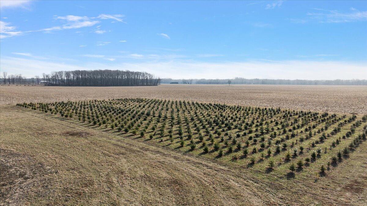 1930 Petersburg Road Dundee, MI 48131 - Photo 65 of 81 19-1930 Petersburg-19