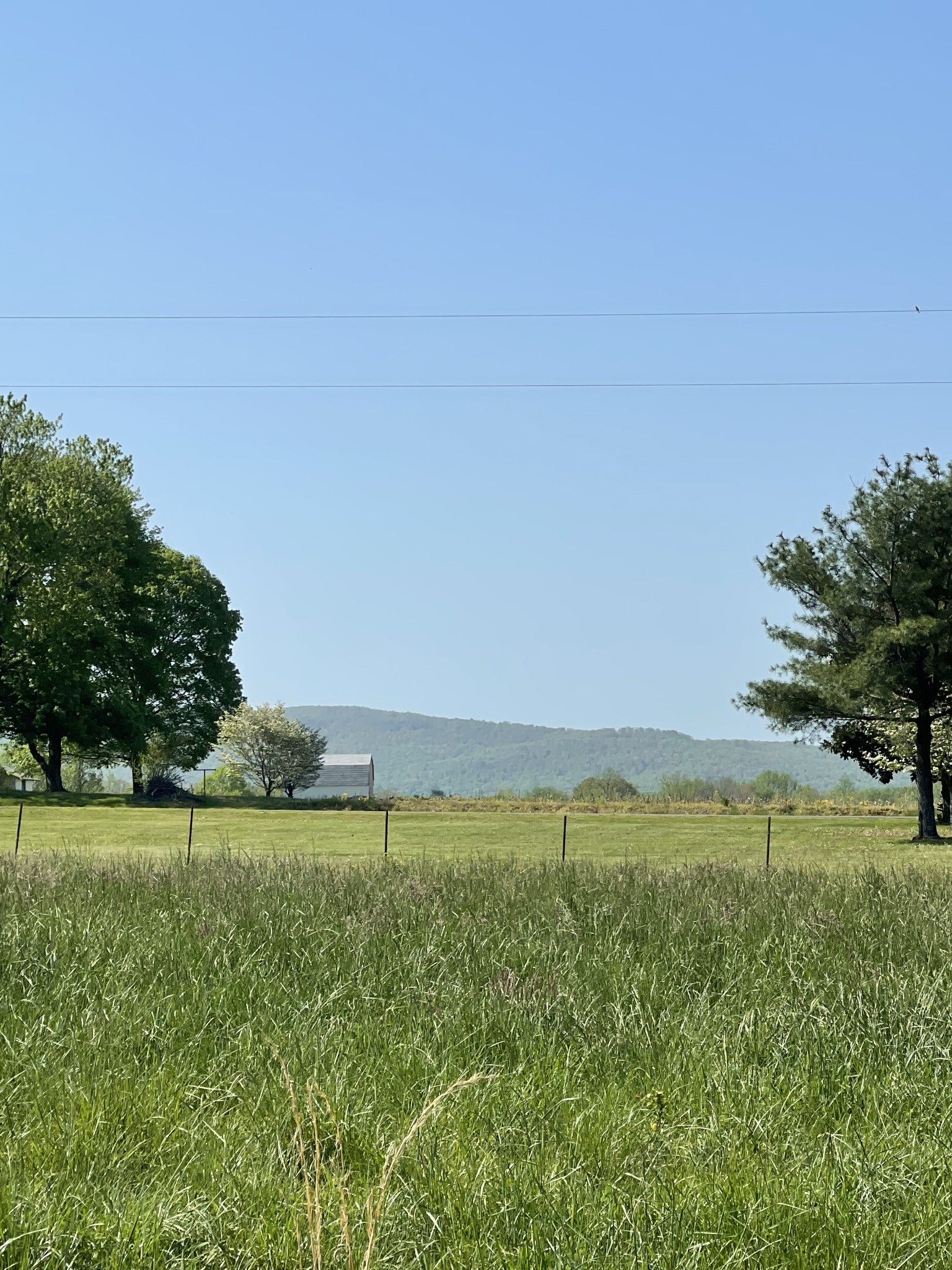 2633 Oak Grove Road Decherd, TN 37324 - Photo 3 of 11 a view of an outdoor space and a yard