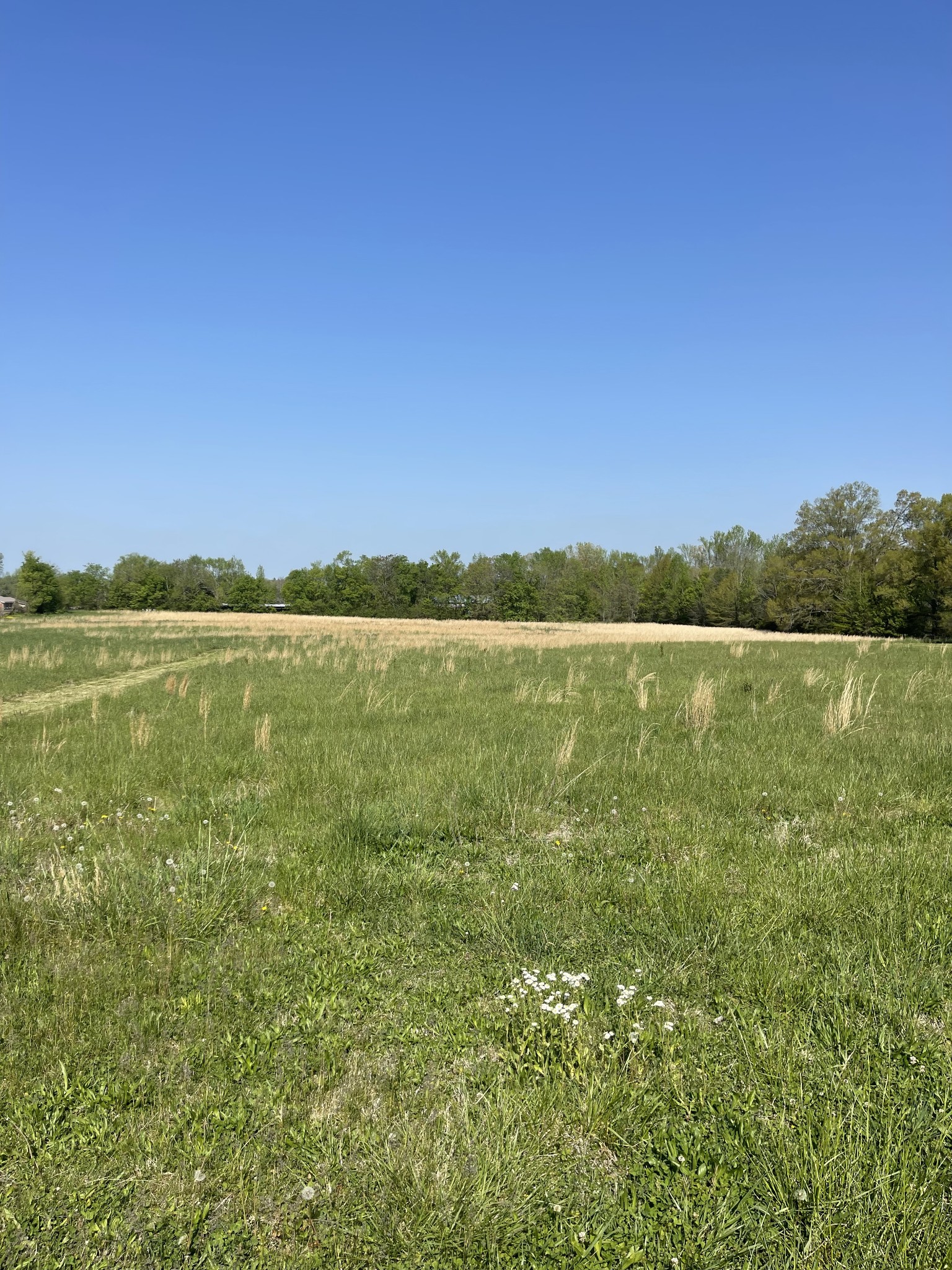 2633 Oak Grove Road Decherd, TN 37324 - Photo 5 of 11 a view of an ocean and beach