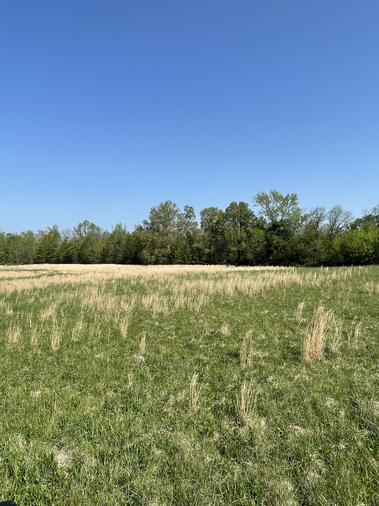 2633 Oak Grove Road Decherd, TN 37324 - Photo 7 of 11 a view of a lake with houses in the back