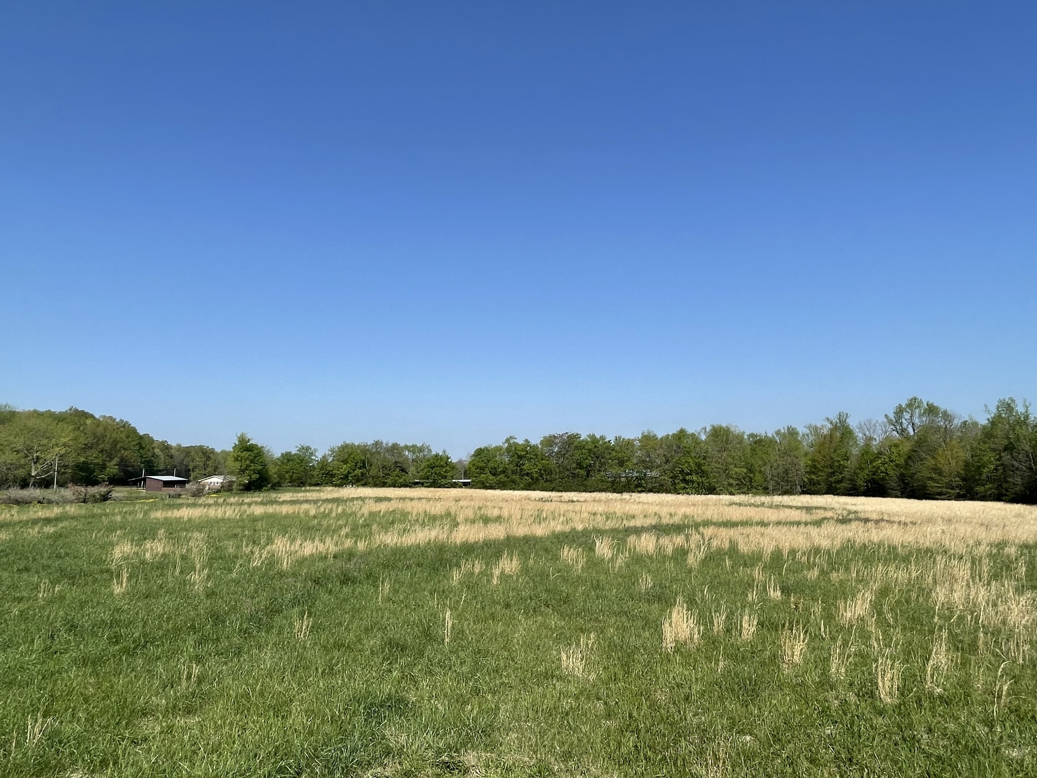 2633 Oak Grove Road Decherd, TN 37324 - Photo 8 of 11 a view of a lake with a yard