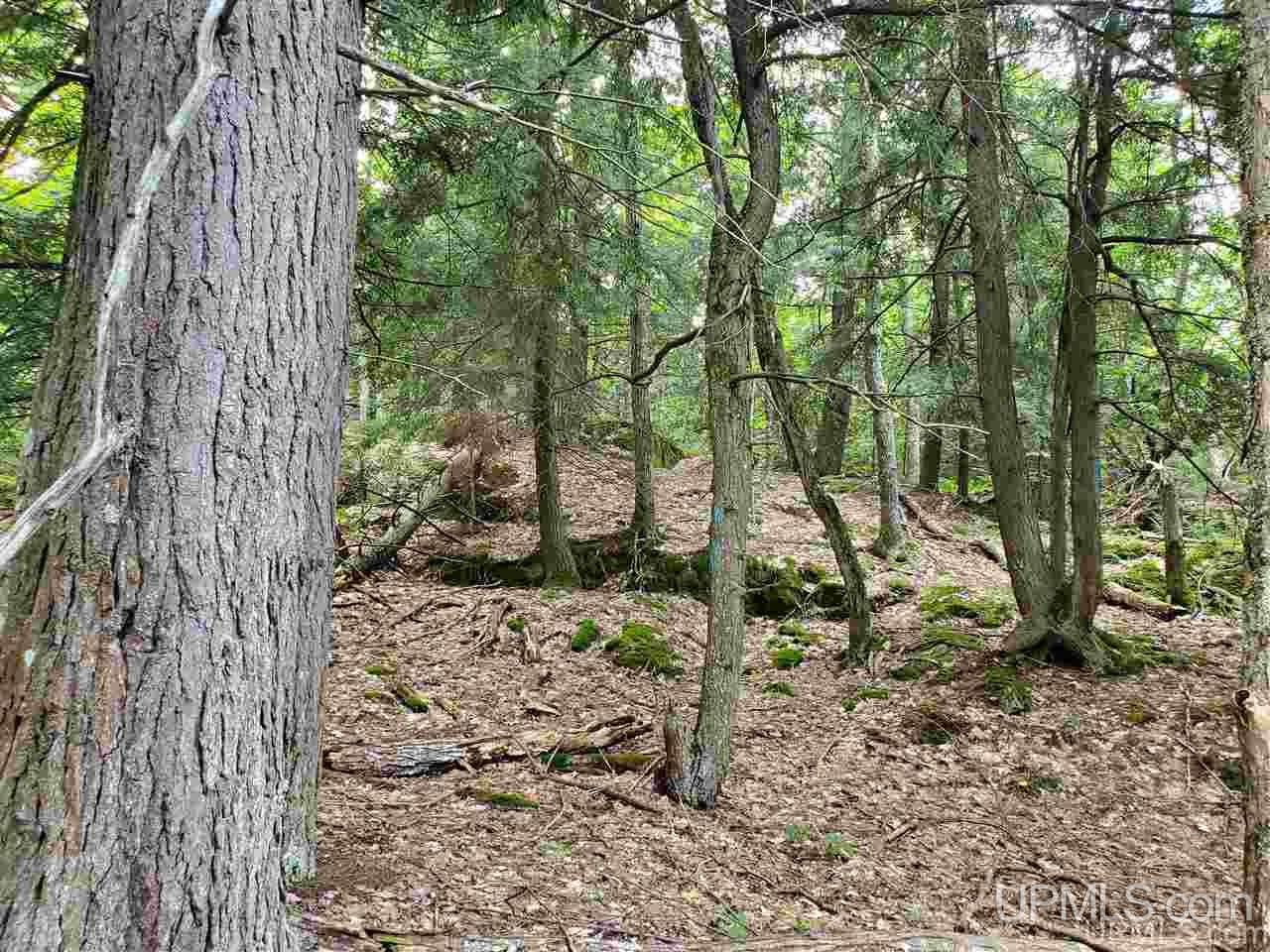 Tbd Tbd Holyoak Negaunee, MI 49866 - Photo 1 of 10