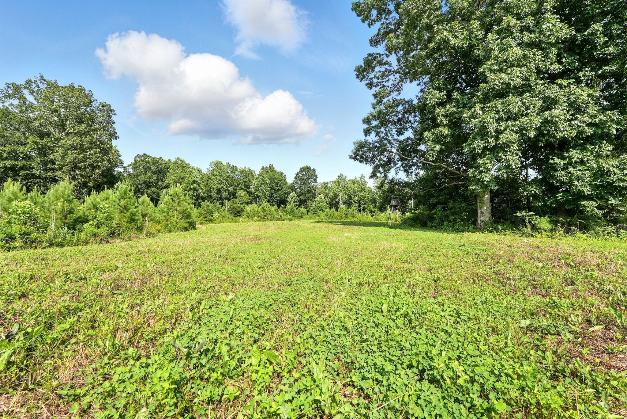0 West Hollow Road Goodspring, TN 38460 - Photo 54 of 99