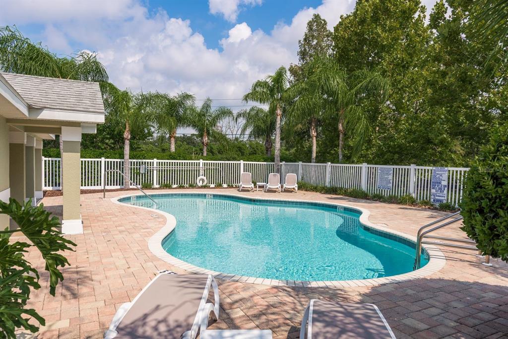 336 Harbor Ridge Drive Palm Harbor, FL 34683 - Photo 27 of 28