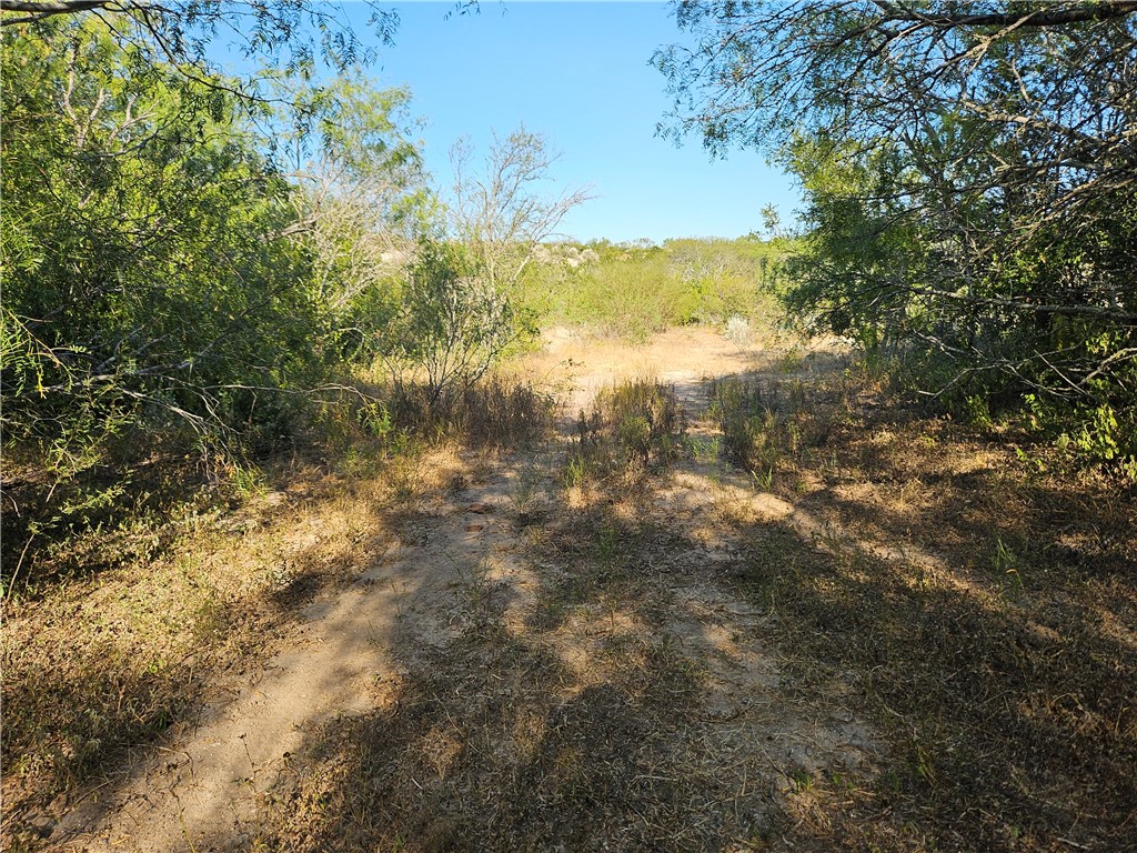 24024 441st Circle Mathis, TX 78368 - Photo 46 of 57 Gallery Image 46