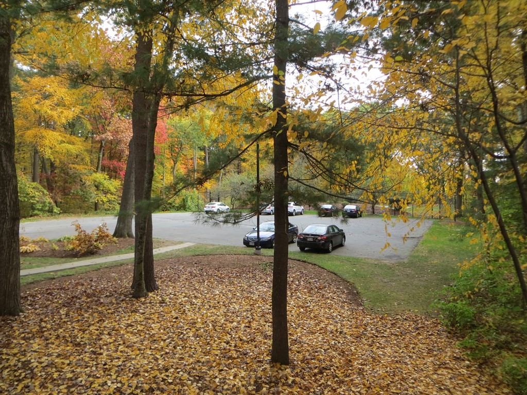 330 Wellman Avenue, Unit 330 Chelmsford, MA 01863 - Photo 19 of 31