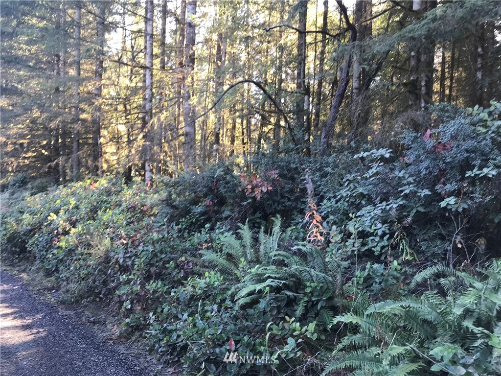 12 Webb Road Southwest Lakebay, WA 98349 - Photo 4 of 6