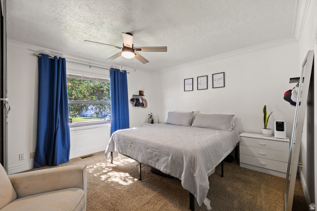 594 850 West Provo, UT 84601 - Photo 10 of 33 Bedroom featuring a ceiling fan, crown molding, and two windows