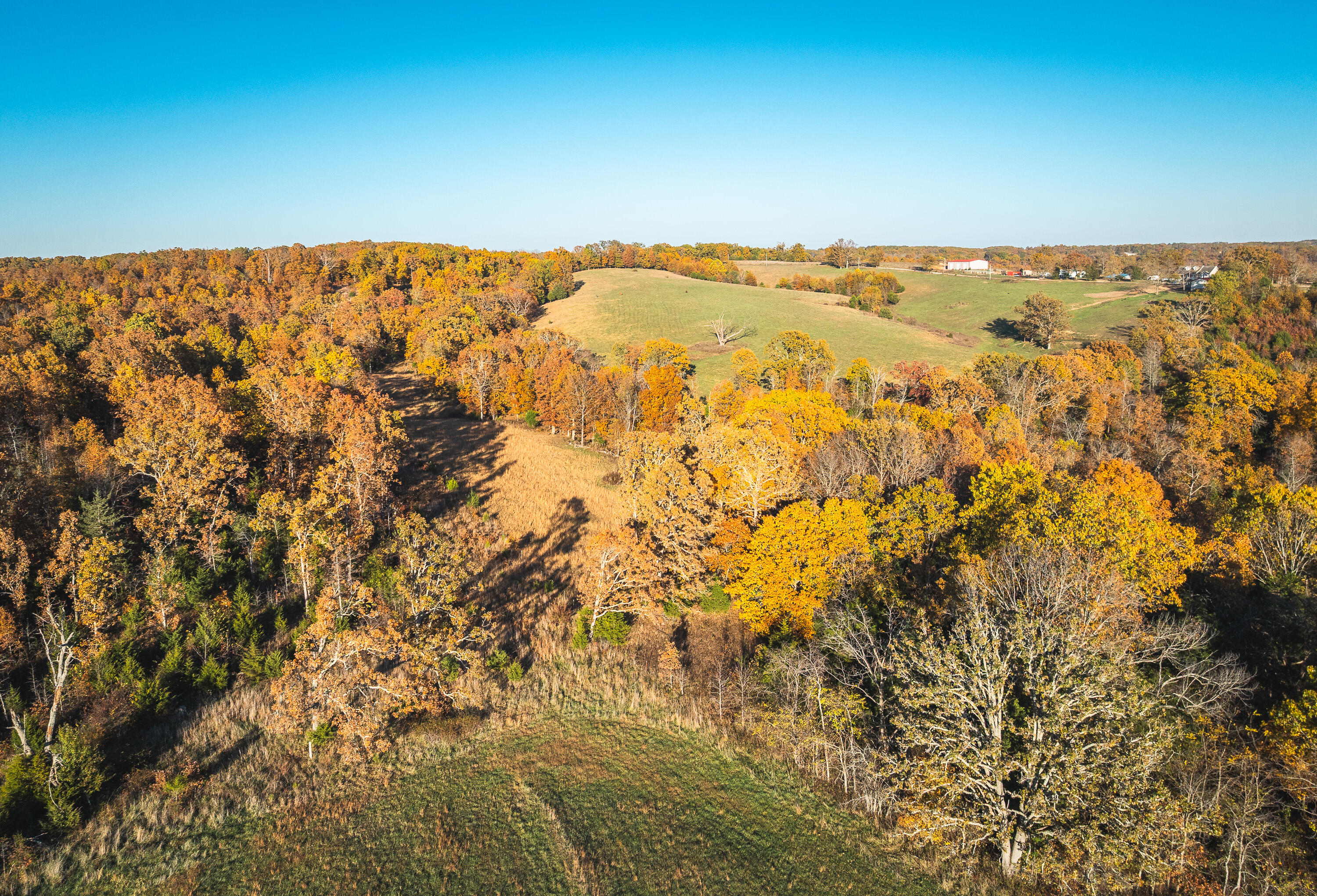 6601 County Line Road Graff, MO 65660 - Photo 42 of 60 DJI_20251105094421_0181_D