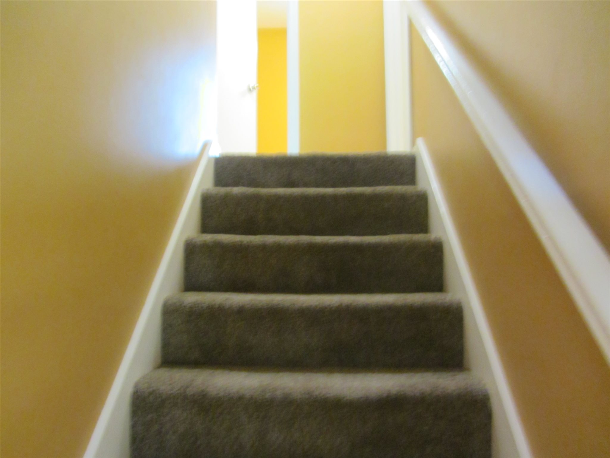 6332 Wood Rim Run Fort Wayne, IN 46825 - Photo 20 of 25 Gallery Image 20