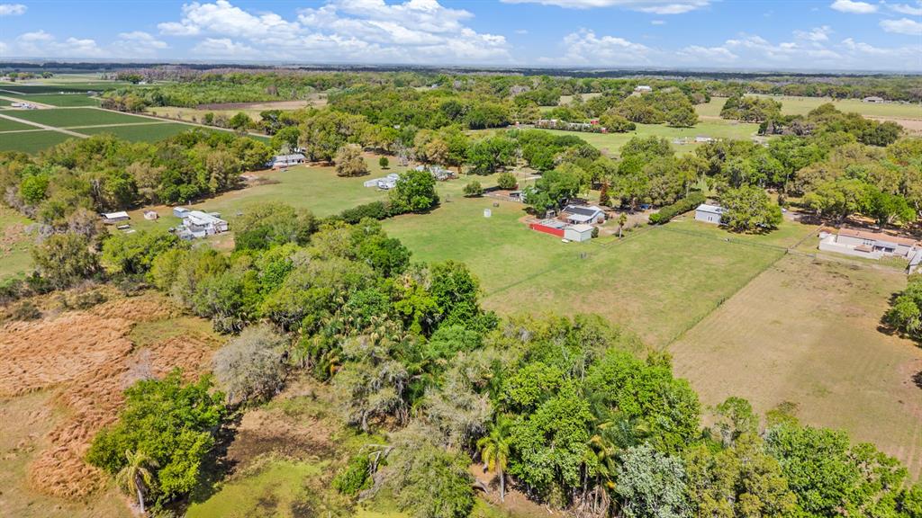 2125 Lanier Road Plant City, FL 33565 - Photo 68 of 82