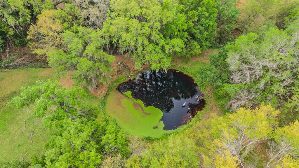 2125 Lanier Road Plant City, FL 33565 - Photo 78 of 82