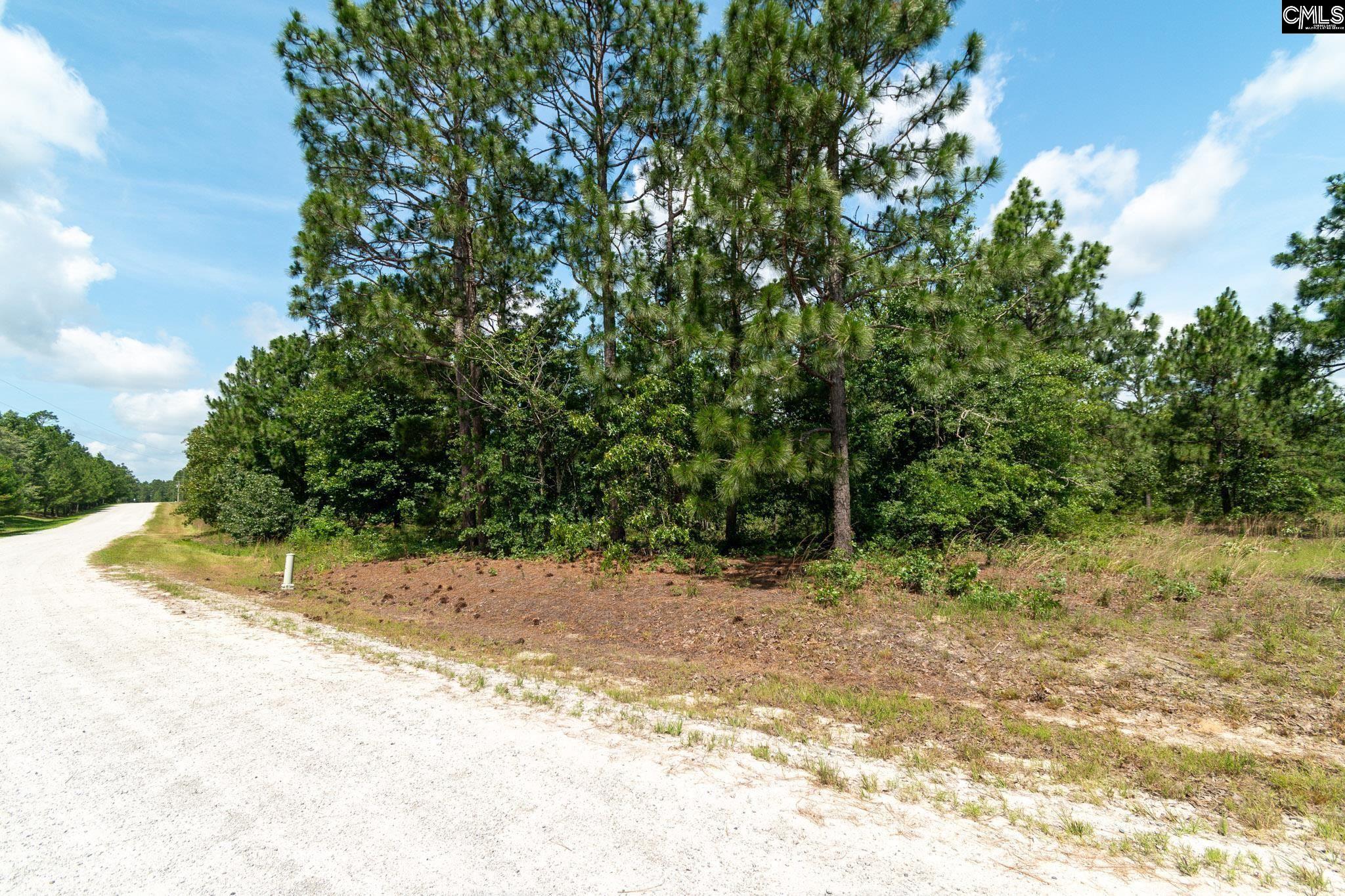 236 Hound Holw Road Camden, SC 29020 - Photo 4 of 6