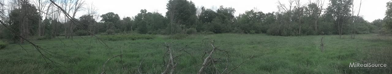 78975 Brown Romeo, MI 48065 - Photo 5 of 6 31163518-4.JPG