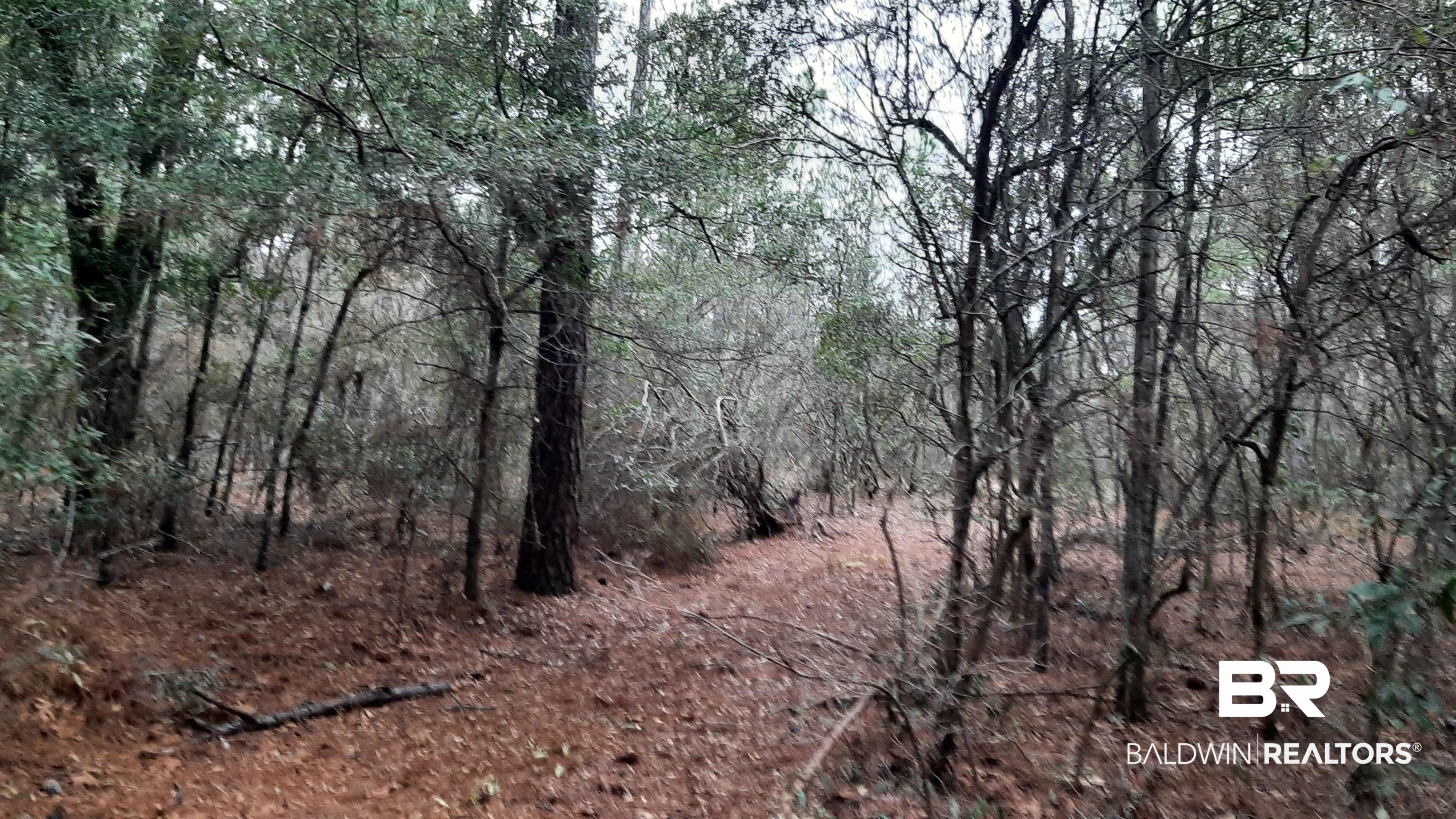 11375 Spring Lake Road Chunchula, AL 36521 - Photo 21 of 26