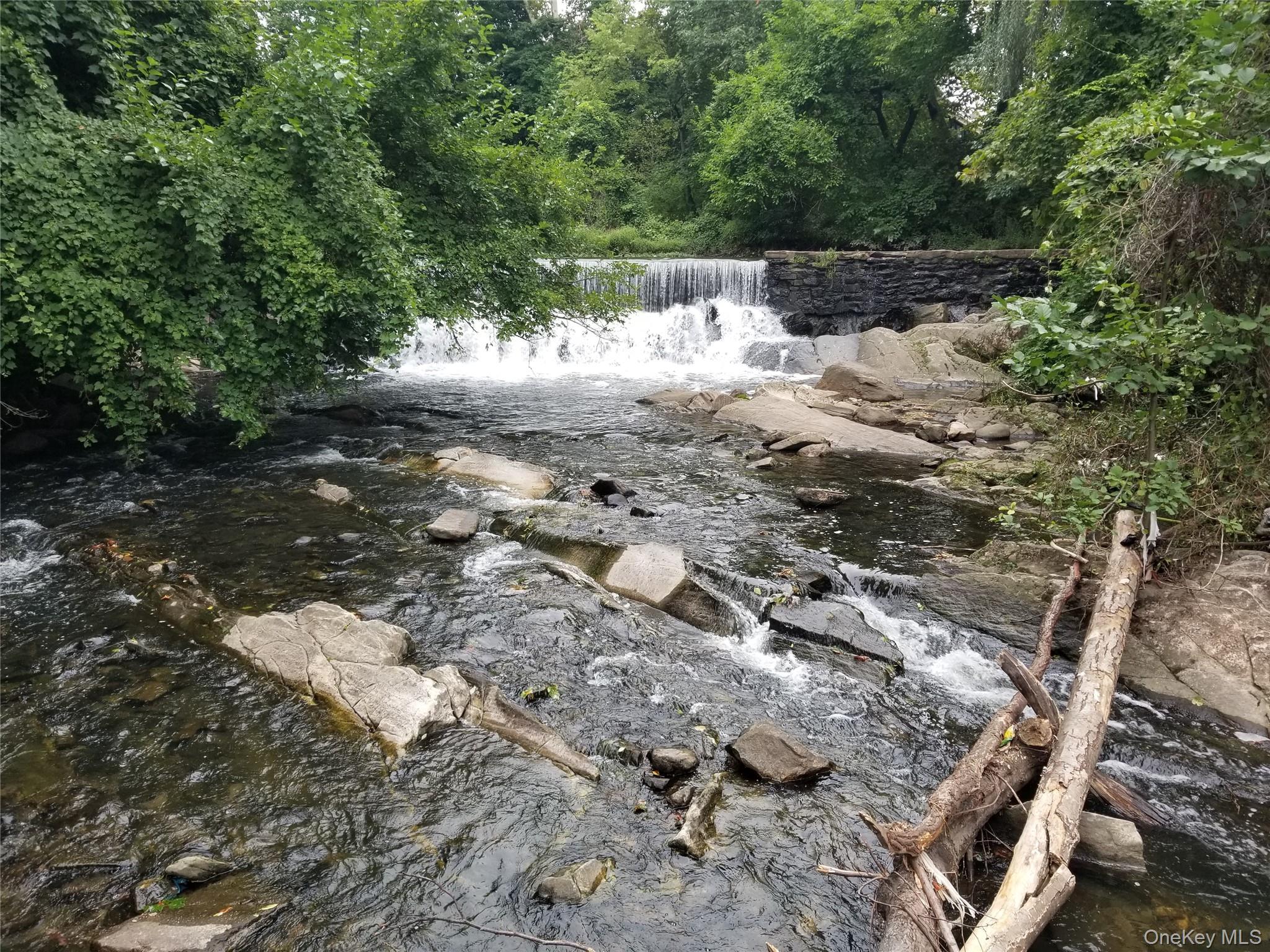 240 Garth Road, Unit 2G2 Scarsdale, NY 10583 - Photo 21 of 25 Bronx River trail