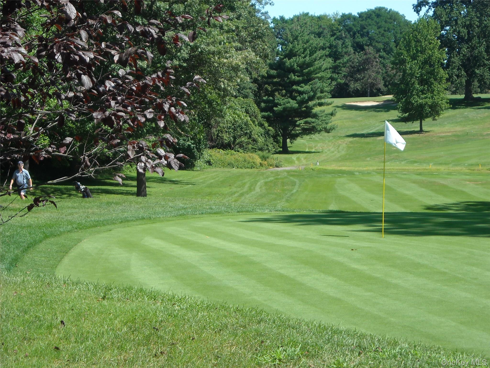 240 Garth Road, Unit 2G2 Scarsdale, NY 10583 - Photo 22 of 25 Lake Isle Golf Course