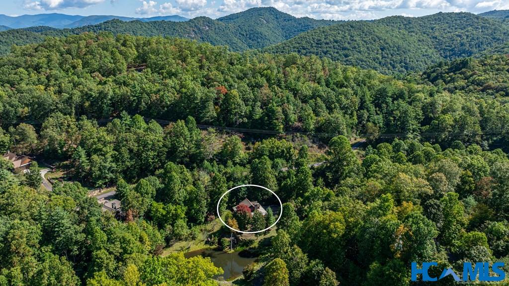 1857 Pilot Knob Road Tuckasegee, NC 28783 - Photo 20 of 44 Gallery Image 20