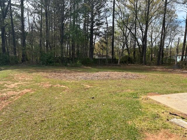 126 Appleton Boulevard Stockbridge, GA 30281 - Photo 22 of 26