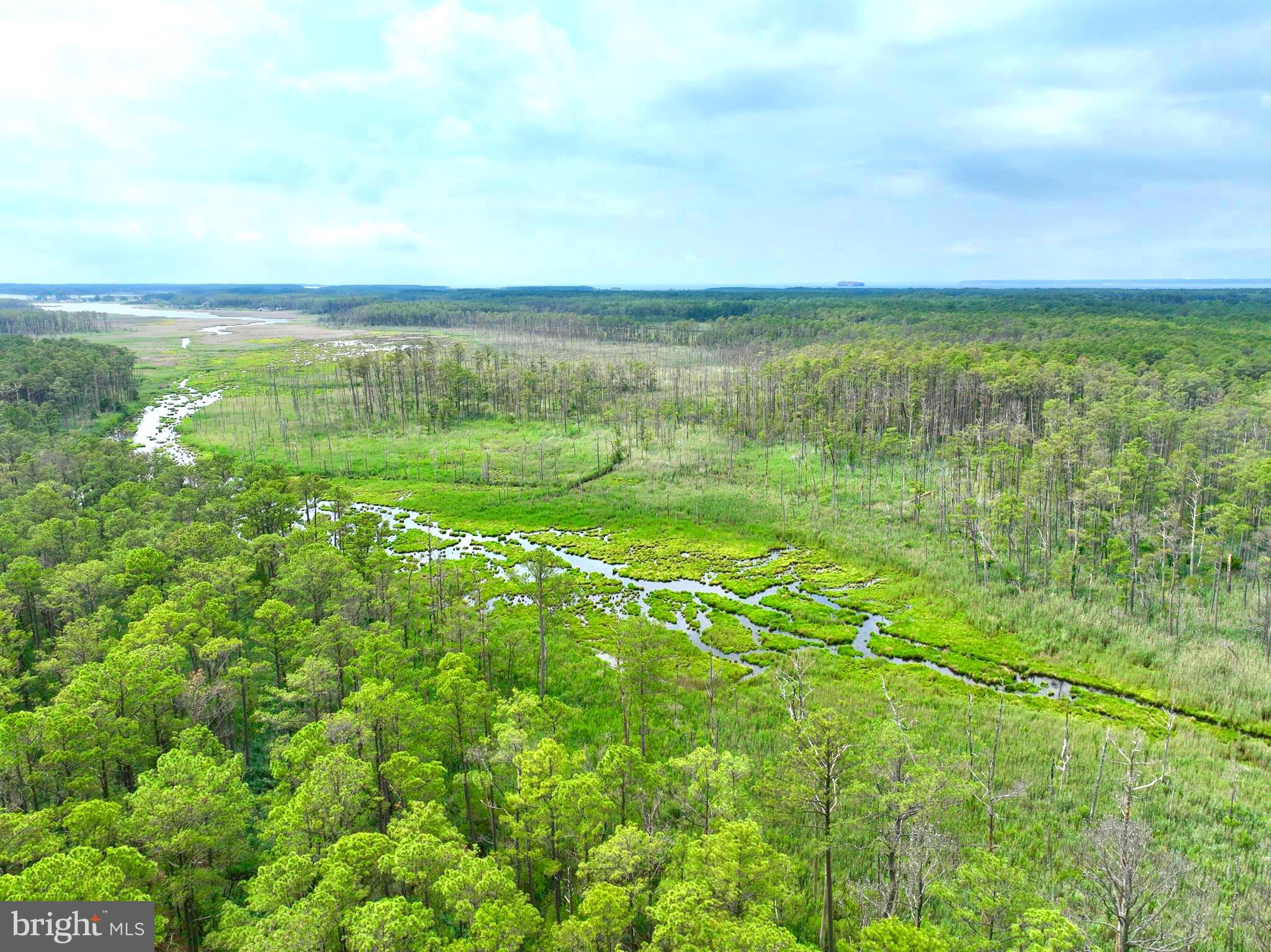 0 Hooper Neck Road Madison, MD 21648 - Photo 30 of 129