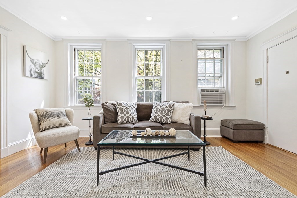 116 University Road, Unit 2 Brookline, MA 02445 - Photo 6 of 36 Gallery Image 6