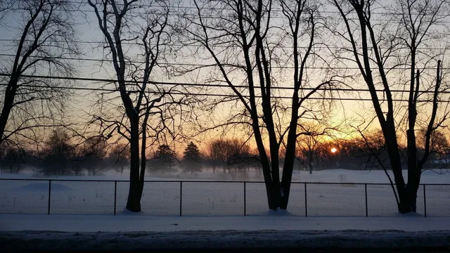 a view of outdoor space with lots of trees