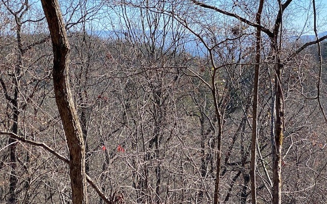 5 Sunrock Mountain Trace Blue Ridge, GA 30513 - Photo 3 of 9 Additional View