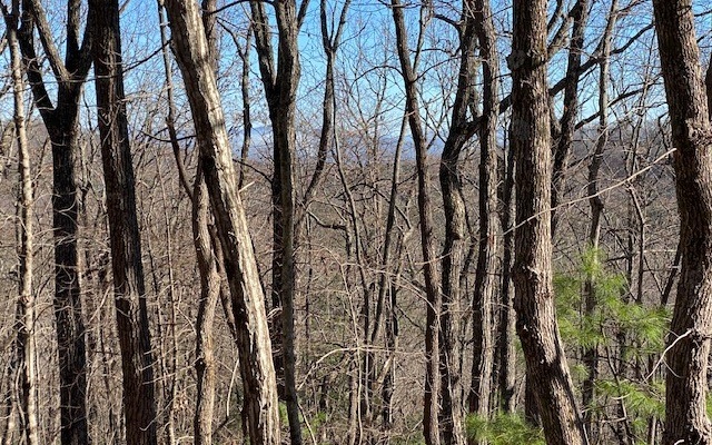 5 Sunrock Mountain Trace Blue Ridge, GA 30513 - Photo 7 of 9 Additional View