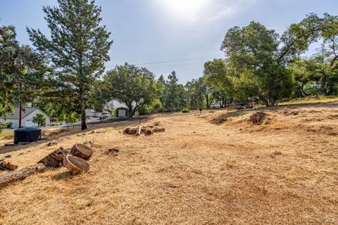 a view of a yard with trees