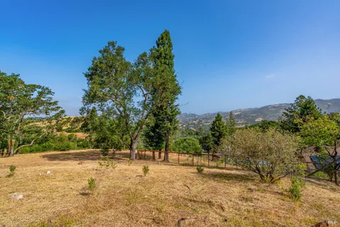 a view of a yard with a tree