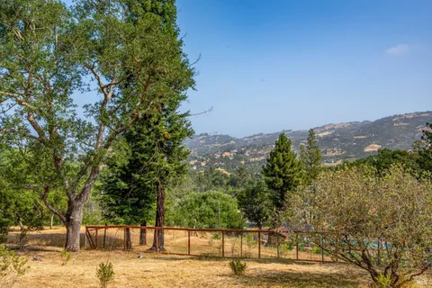 a view of a yard with trees