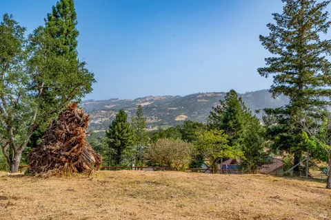 a view of empty space with trees