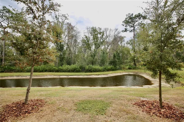a house that has a large tree in front of it
