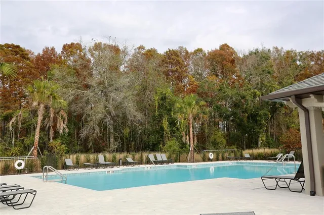 a view of a swimming pool with lounge chair