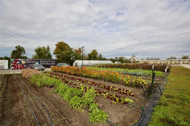 $313,000 | 17620 Nectar Flume Drive, Land O Lakes, FL 34638