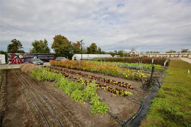 $313,000 | 17620 Nectar Flume Drive, Land O Lakes, FL 34638