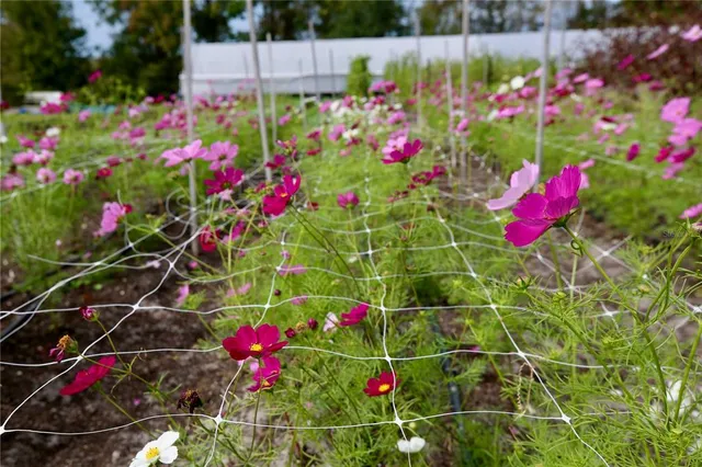 $313,000 | 17620 Nectar Flume Drive, Land O Lakes, FL 34638