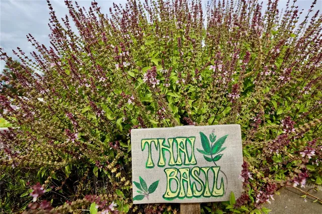 $313,000 | 17620 Nectar Flume Drive, Land O Lakes, FL 34638