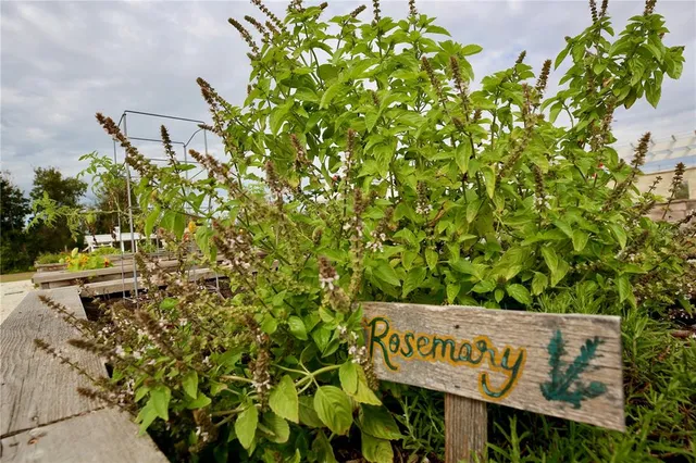 $313,000 | 17620 Nectar Flume Drive, Land O Lakes, FL 34638