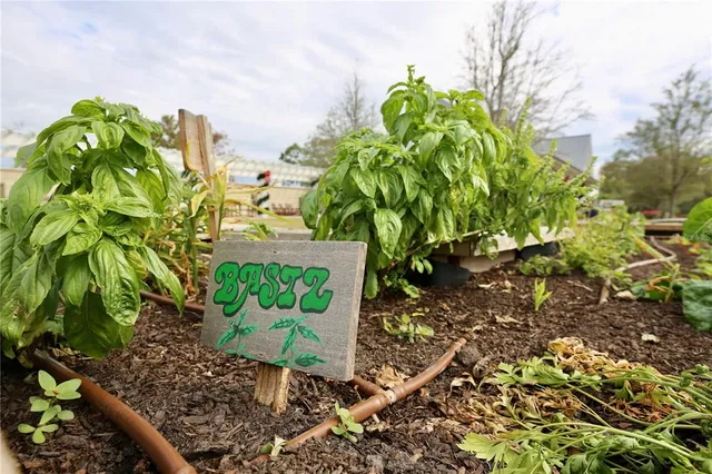 $313,000 | 17620 Nectar Flume Drive, Land O Lakes, FL 34638