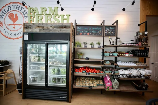 $313,000 | 17620 Nectar Flume Drive, Land O Lakes, FL 34638