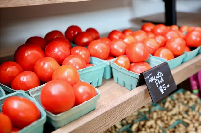 $313,000 | 17620 Nectar Flume Drive, Land O Lakes, FL 34638