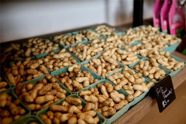 $313,000 | 17620 Nectar Flume Drive, Land O Lakes, FL 34638