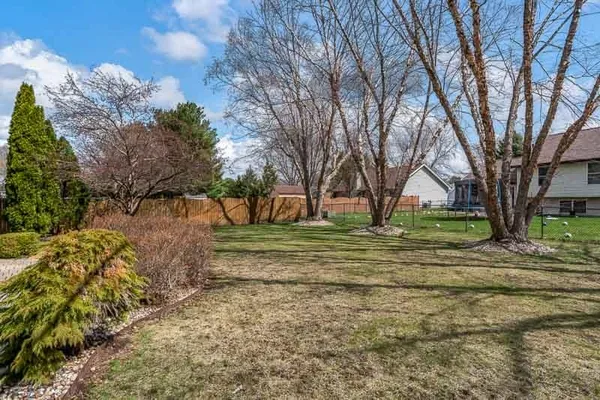 a view of a yard with plants and large trees