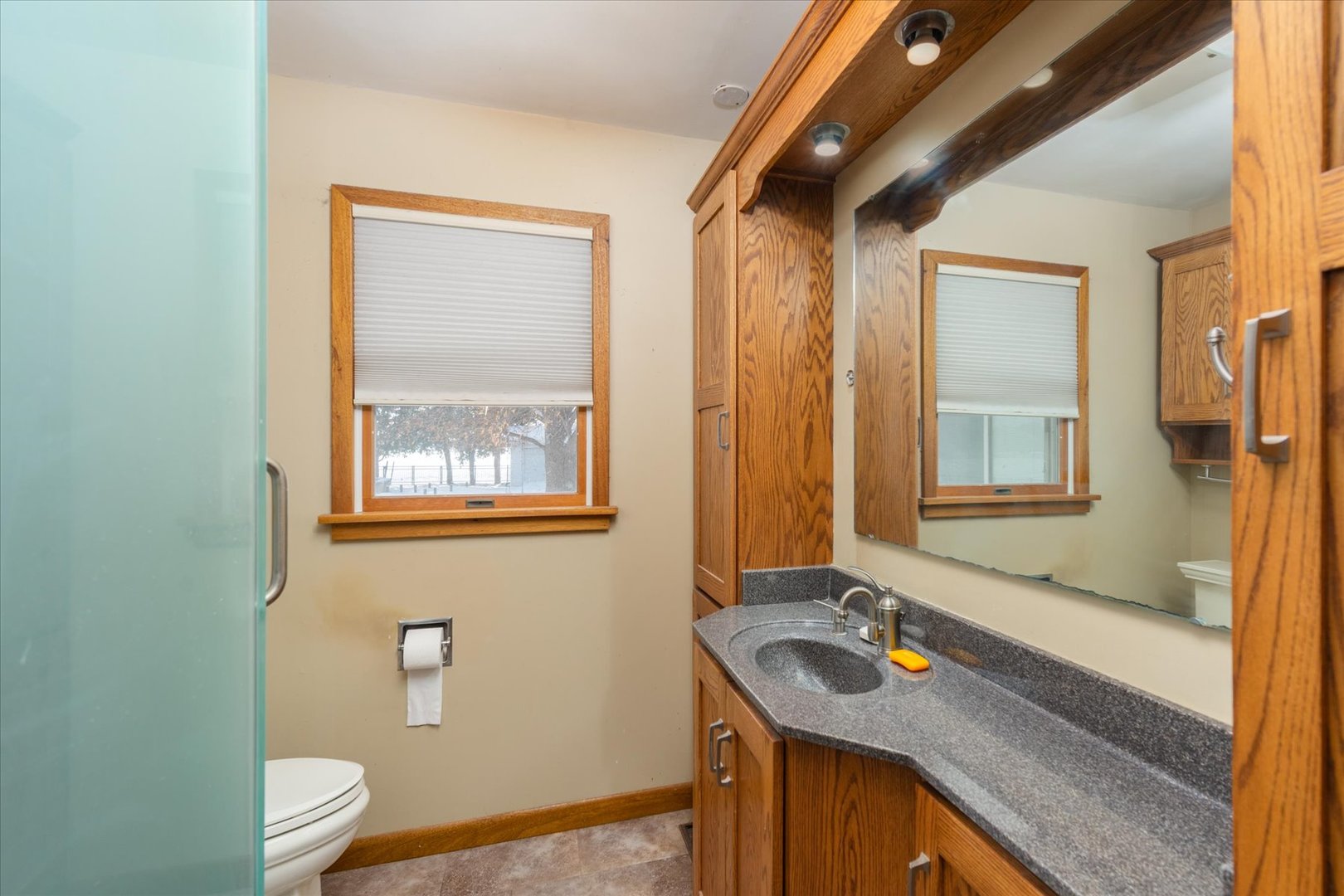 708 East Thompson Street Princeton, IL 61356 - Photo 14 of 46 a bathroom with a sink a toilet and a mirror