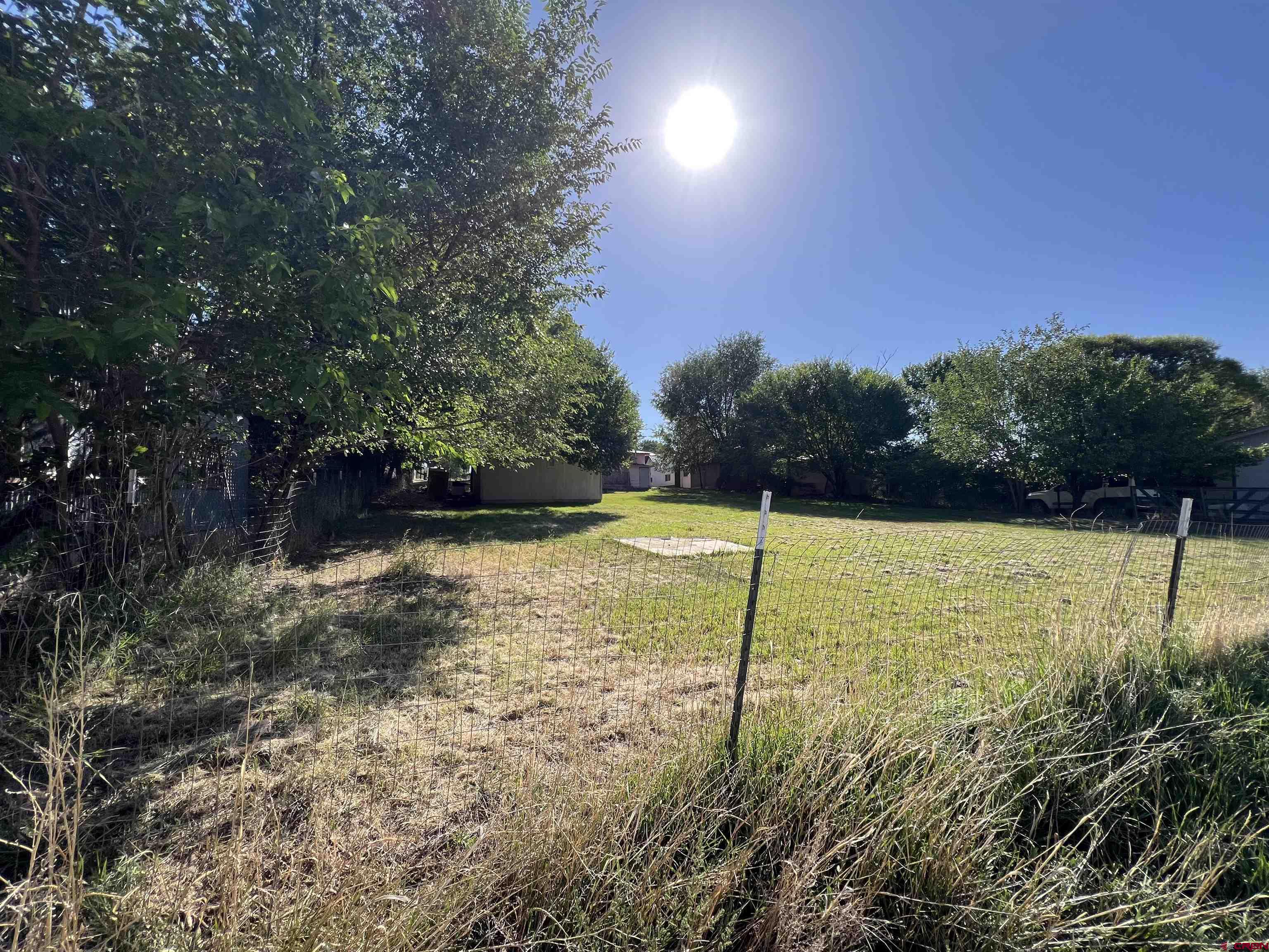 460 Fox Street Nucla, CO 81424 - Photo 13 of 35 a view of a yard with a large trees