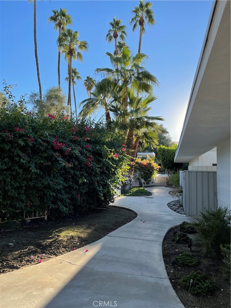 42278 Dunes View Road, Unit 28 Rancho Mirage, CA 92270 - Photo 36 of 57 a view of a backyard with plants