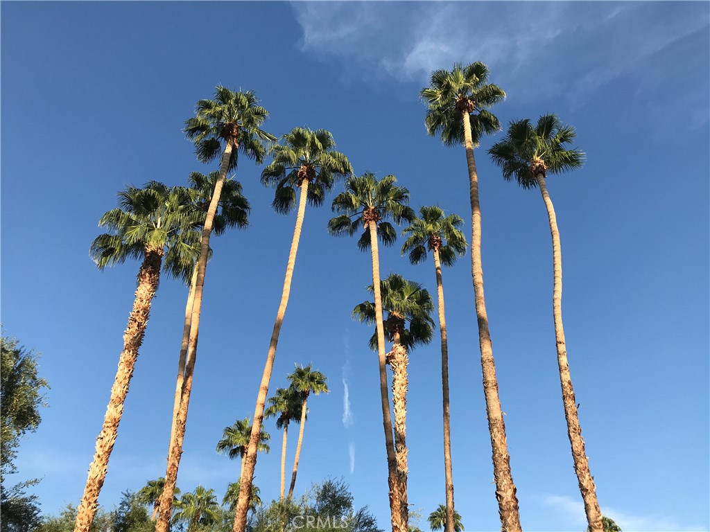 42278 Dunes View Road, Unit 28 Rancho Mirage, CA 92270 - Photo 45 of 57 Lots of mature trees throughout the Chalets.